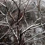 Preston_Mathew_ - @preston_mathew_l - Instagram