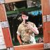 Matthew Roper - Facebook