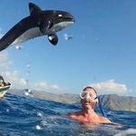 Mathew Russell - @mathew3780 - Instagram