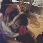 Mathew Russell - @mathewrussell1970 - Instagram