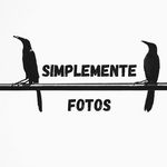 Mathew Saunders - @simplementefotos2020 - Instagram