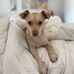 Matthew Saunders - Facebook