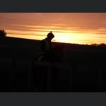 Matthew Sheppard - @matthewsheppard429 - Instagram