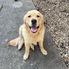 Matthew Shields - @matthew.shields6 - TikTok