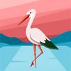 mathew short - @mathew.short - TikTok