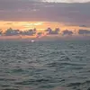 Matthew Simmons - @matthew.simmons1 - TikTok