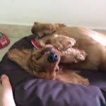 Mathew Spencer - @mathew.spencer - Instagram