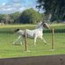 Matthew Spence - Facebook