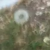 matt.stanbridge - @matt.stanbridge8 - TikTok