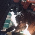 Mathew Starr - @mathew.starr.5 - Instagram
