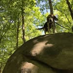 mathew starratt - @mathewstarratt - Instagram