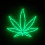 Mathewsteele234 - @mathewsteele256 - Instagram