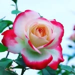 mathew stephen - @stephenson_1960 - Instagram