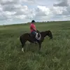 Matthew Stephen - @matt.steph - TikTok