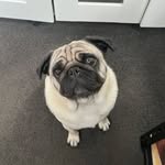 Mathew Thomas - @bivin__mathew_thomas - Instagram