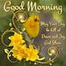 Mathew Tom - Facebook