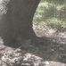 Matthew Townsend - Facebook
