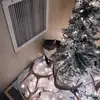 Matthew Townsend - @matthew.townsend6 - TikTok