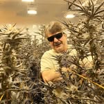 mathew walker - @cannabismathew420 - Instagram
