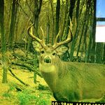 Matthew Waters - @deerslayer_matt - Instagram