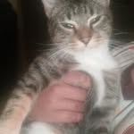 Mathew Wilkinson - @mathew.wilkinson.98837 - Instagram