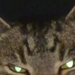 Mathias Frank - @mathias.frank.754 - Instagram