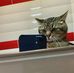 Mathias Garcia - Facebook