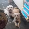 Mathias Koch - @mathias.koch4 - TikTok