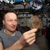 Esa mathias maurer - @esa_mathias_maurer35 - TikTok