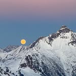 Mathias Mäurer - @prof.maeurer - Instagram