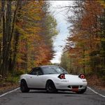 Mathieu Gervais - @lil_white_miat - Instagram
