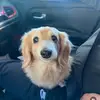 Mathieu gervais - @math.g6 - TikTok