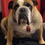 Mathieu Gervais - @mathieu.gervais1981 - Instagram