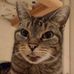 Matthew Grigg - Facebook
