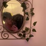 Mathieu Morin - @mathieu.morin - Instagram