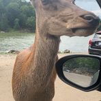 Mathilda Leblanc - Facebook