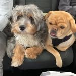 mathi<3 - @mathilda.morgan.06 - Instagram