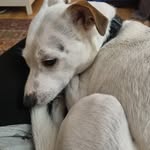 Matilda Morgan - @a_phantastic_witch - Instagram