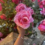 Matilda Neil Perez - Facebook