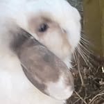 Matilda Becker - @matildabecker38 - Instagram