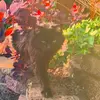 Matilda_Charles - @matildamcharles - TikTok