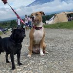 @jet_cherry_ange_matilda - Instagram