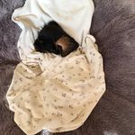 Matilda ford - @toots_ford - Instagram