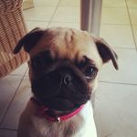 🎀Matilda🎀 - @matilda.green_ - Instagram