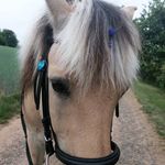 matilda haas - @7384_matilda - Instagram