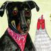 Henry and Matilda Adventures - Facebook