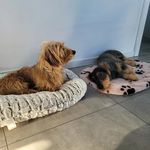 @matilda.henry.voll.verdackelt - Instagram