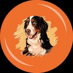 هات داگ ماتیلدا - @matilda.hotdog - Instagram