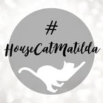 Matilda - @housecatmatilda - Instagram