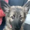 Matilda in house - @matilda.in.house - TikTok